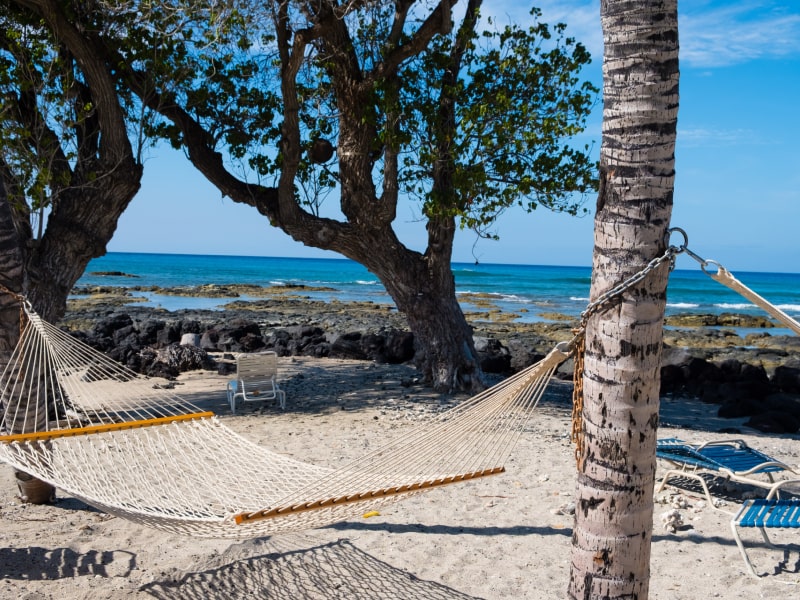 Mauna Lani Real Estate South Kohala Homes For Sale Real Estate