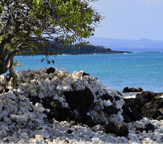 Waikoloa Beach Resort Real Estate Real Estate For Sale In South Kohala